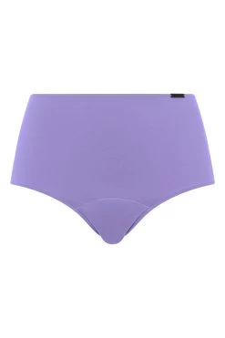 Chantelle Purple Veronina Essential Heavy Flow Period High Waisted Briefs -Fashion Women D11470s3