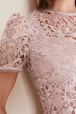 Phase Eight Pink Isabella Lace Dress -Fashion Women D61 100s6