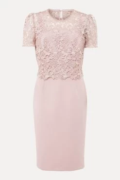 Phase Eight Pink Isabella Lace Dress -Fashion Women D61 100s7