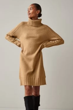 Next Roll Neck Rib Jumper Dress