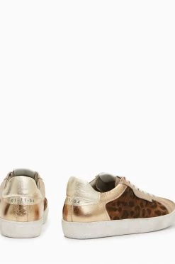 AllSaints Brown Sheer Leopard Sneakers -Fashion Women U30800s3