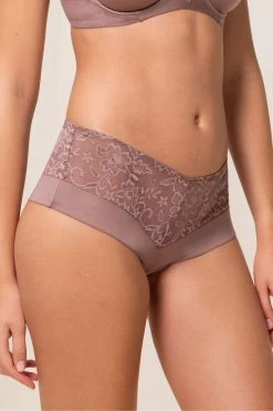 Triumph Brown Vivid Spotlight Maxi Briefs